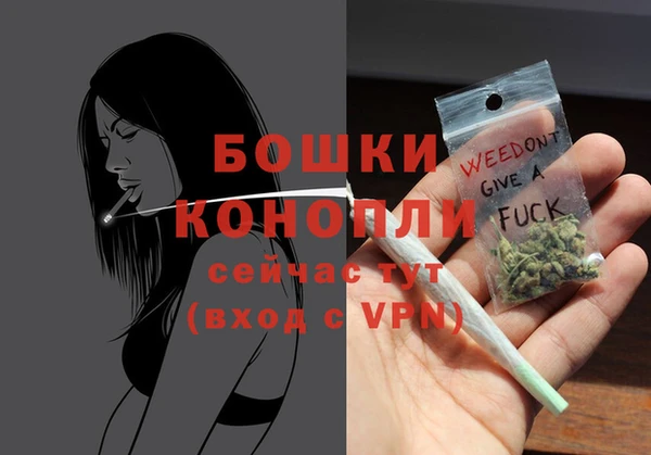 spice Каменногорск