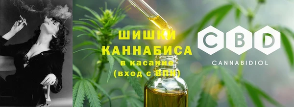 spice Каменногорск