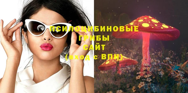 spice Каменногорск