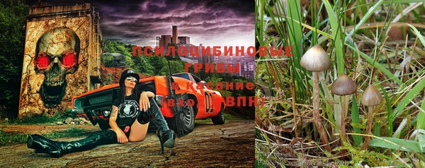 МДМА Архангельск