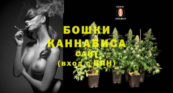 бутират Каменка
